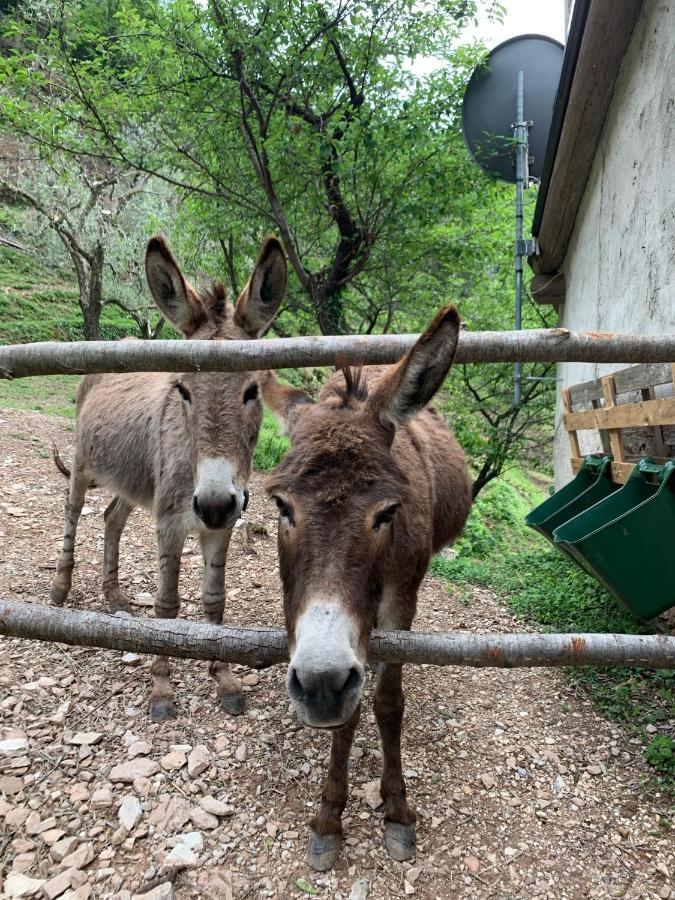 Casa Lume Villa Toscolano Maderno Dış mekan fotoğraf